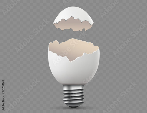 Broken chicken empty egg in the form of a light bulb