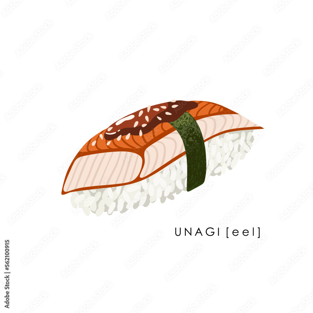Eel sushi nigiri on white background. Unagi nigiri. Traditional Japanese food. Vector clipart. Eel sushi nigiri on white background. Unagi nigiri. Traditional Japanese food. Vector clipart.