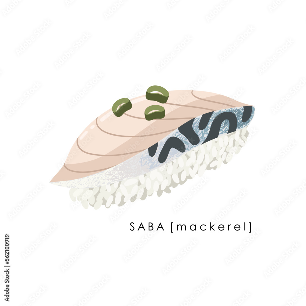 Mackerel sushi nigiri on white background. Saba nigiri. Traditional