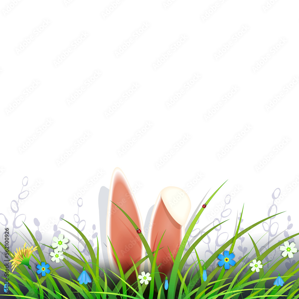 Fototapeta premium Easter design with rabbit ears in the grass.