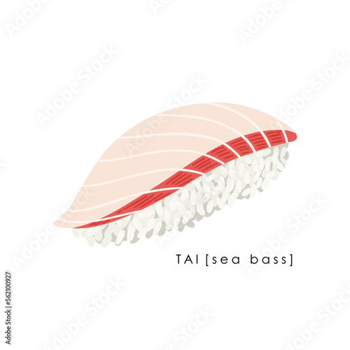 Sea bass sushi nigiri on white background. Tai nigiri. Traditional Japanese food. Vector clipart.