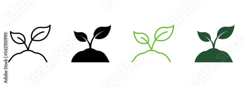 Eco Natural Seed, Agriculture Line and Silhouette Icon Set. Organic Growth Leaf on Soil. Eco Friendly Farm Symbol Collection. Sprout of Plant in Ecology Garden. Isolated Vector Illustration