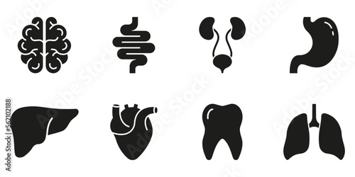 Human Brain, Intestine, Urinary System, Tooth, Stomach, Lung, Liver, Heart Silhouette Icon Set. Healthcare Glyph Icon. Internal Organ Anatomy Black Pictogram. Isolated Vector Illustration