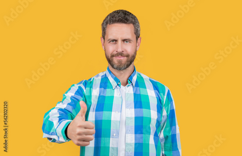bearded caucasian man in casual shirt isolated on yellow background show thumb up.