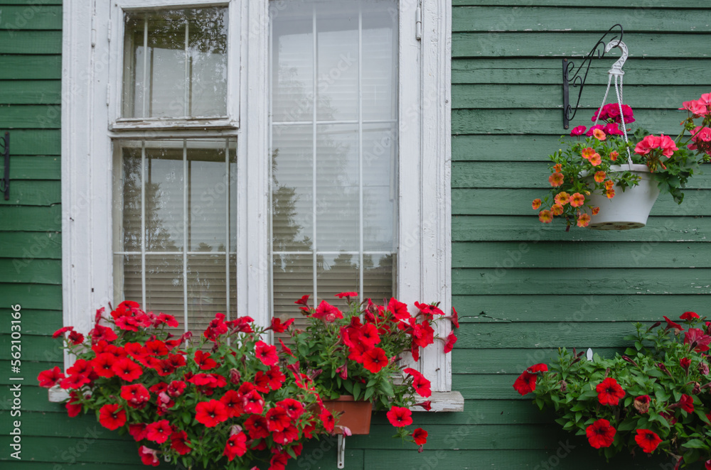 Naklejka premium the window is decorated with flowers in a pot