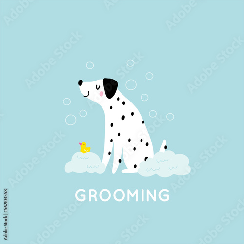 Cute cartoon dog Happy Grooming. Pet washing service flat vector illustration. Happy bathing pet 