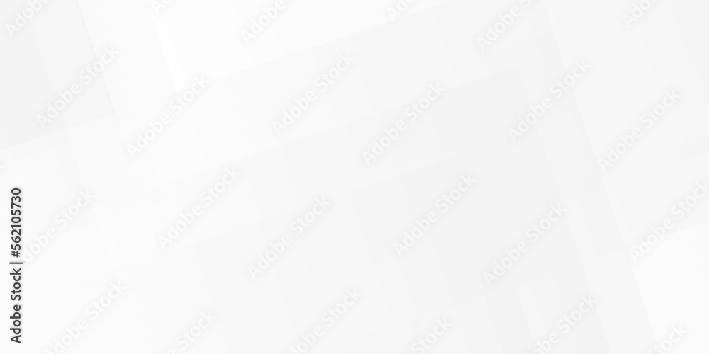 Obraz premium Abstract white and gray background with lines white light & grey background. Space design concept. Decorative web layout or poster, banner. White grey background vector design.
