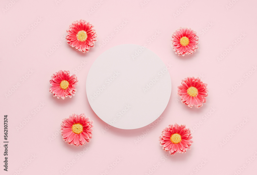 Empty podium with pink chamomile or gerbera flowers top view on pink background. Showcase with copy space for advertising and design to display products, perfume, gift or cosmetics.