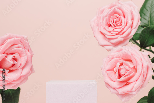 Empty podium with pink rose flowers closeup on pink background. Cute background for design and advertising for product presentation