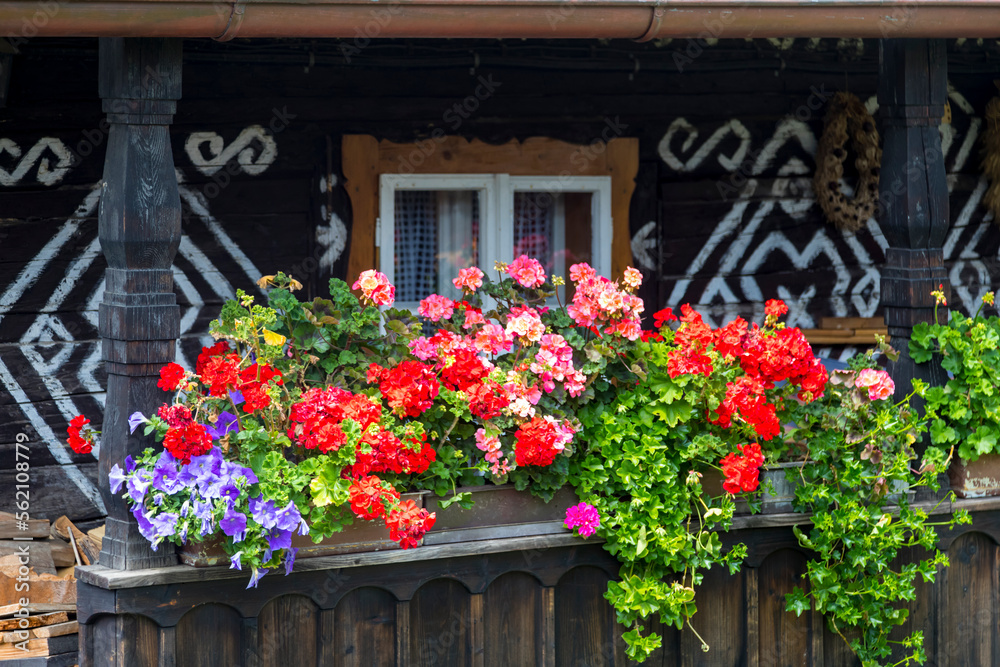 traditional folklore motifs of folk wooden architecture Cicmany, Slovakia