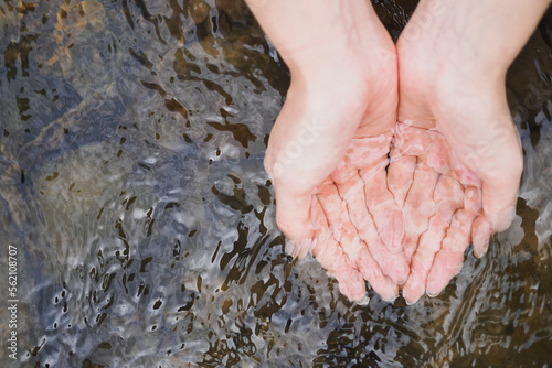 Wallpaper Mural A woman's cupped hand is holding clean natural water in the river, copy space Torontodigital.ca