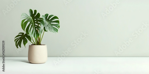 Monstera deliciousa in pot aesthetic decor. Pastel wall background. Front view place for text, copy space, empty space. Generative AI