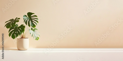 Monstera deliciousa in pot aesthetic decor. Beige wall background. Front view place for text, copy space, empty space. Generative AI