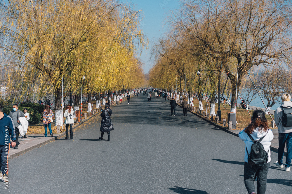 people walking in the park people walking in the park