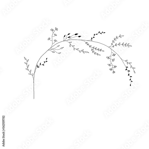 Minimal Line Wreath Illustration