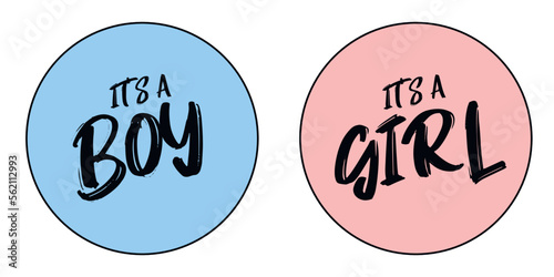 It's a boy/ It's a girl - card template with a multi-colored inscription. Vector illustration for gender reveal party. Stickers on a pink and blue background