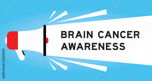 Color megaphone icon with word brain cancer awareness in white banner on blue background