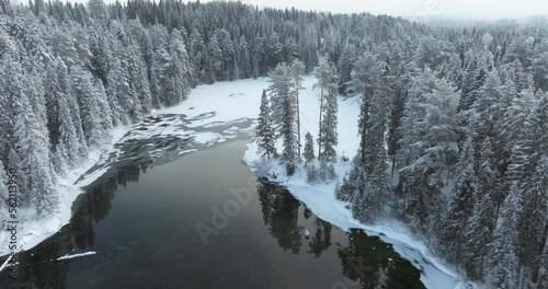 A view from above of the snow-covered cinematic forest and the icy river, trees reflected in the dark water. Winter Xmas muted tones drone footage