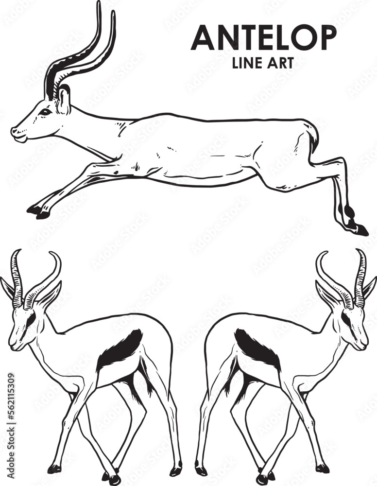 Set of hand draw vintage antelope premium vector - obrazy, fototapety, plakaty 