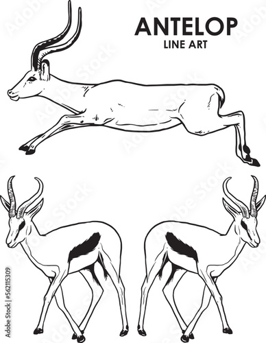Set of hand draw vintage antelope premium vector photo