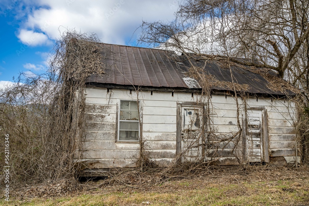 Obraz premium countryside