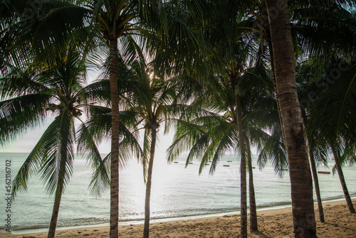 THAILAND PATTAYA JOMTIEN BEACH