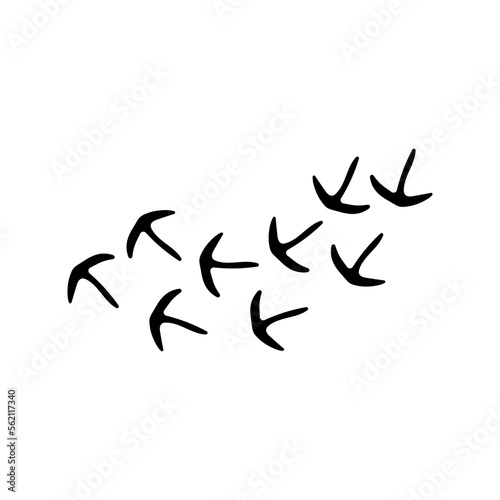 Traces of birds icon vector. Chicken steps illustration sign. Footprints symbol or logo. © Denys