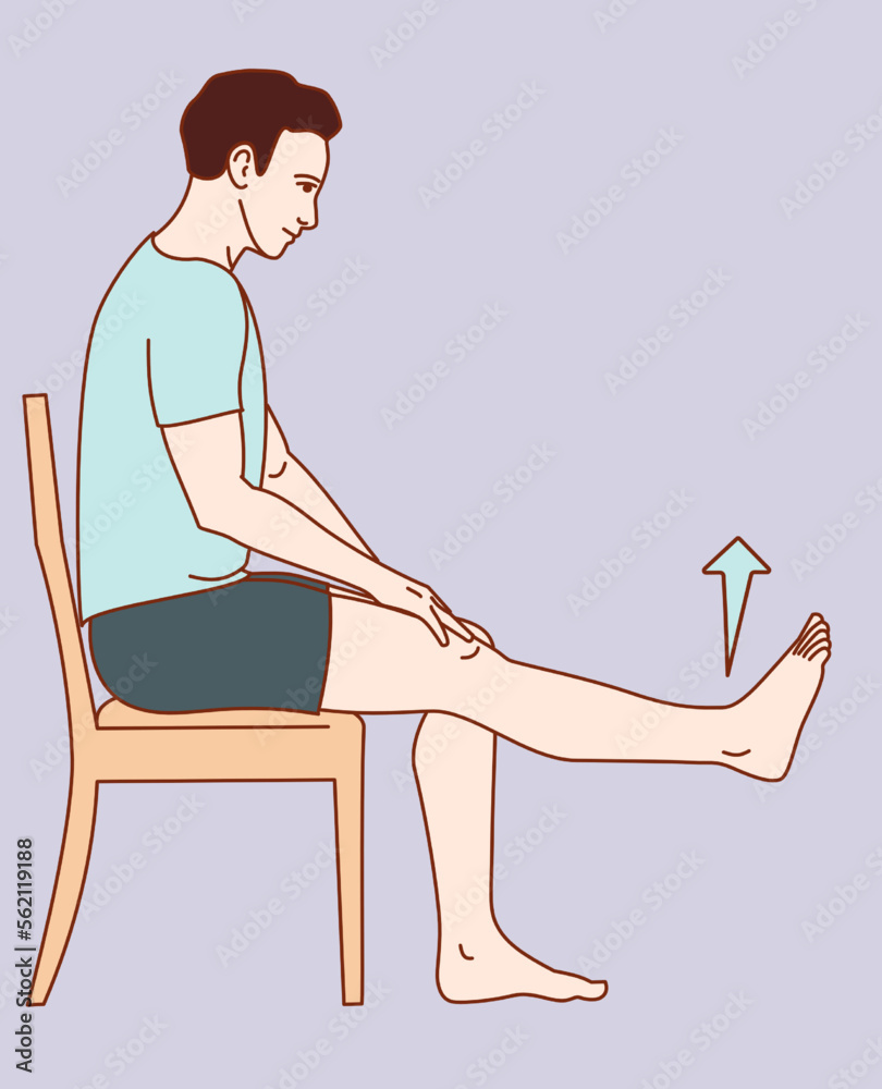 Knee joint exercise positions. Vector illustration. Exercise 11 Knee joint exercise positions. Vector illustration. Exercise 11