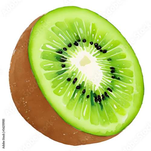 kiwi fruit drawn digital painting watercolor illustration