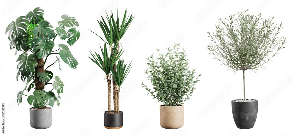 Beautiful plants in ceramic pots isolated on transparent background. 3D rendering. 3D illustration. - obrazy, fototapety, plakaty 