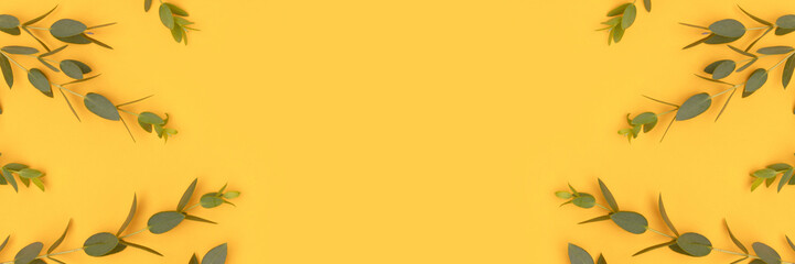 Banner with frame made of eucalyptus branches on a yellow background. Selective focus. Place for text.