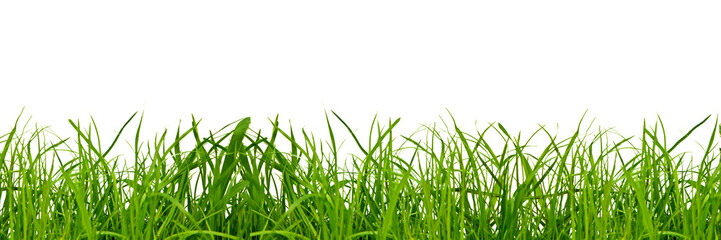 grass