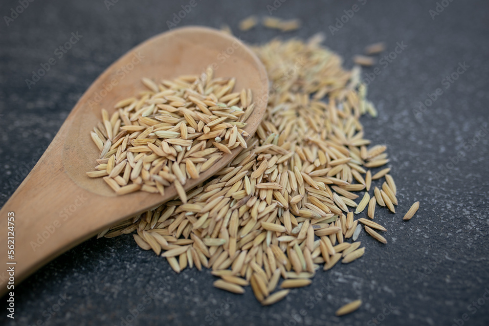 Paddy rice and rice seed. Background and wallpaper by pile of paddy rice seed, Close-up of brown rice grain.