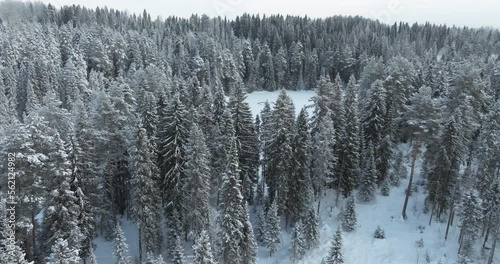 Flying over the snow-covered treetops on the bank of a cinematic forest river. Winter Christmas muted tones drone footage