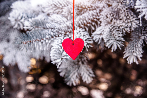 Symbol of love hangs on snow-covered spruce 