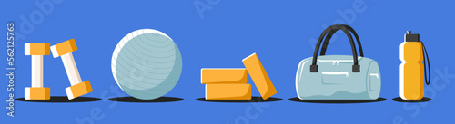 Vector Set of Fitness Elements