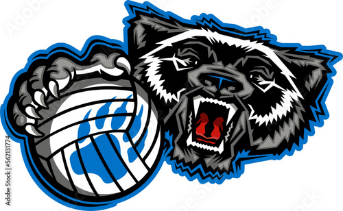 mean wolverine mascot holding volleyball for school, college or league