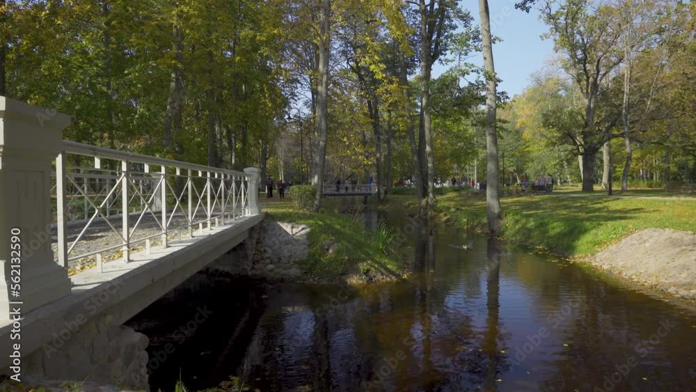 Yellow autumn leaves in the pond float in the wind. Trees are reflected in blue water. A beautiful bridge on the road across the pond. Autumn on a sunny day in Latvia. Kemeri National Park. Jurmala Yellow autumn leaves in the pond float in the wind. Trees are reflected in blue water. A beautiful bridge on the road across the pond. Autumn on a sunny day in Latvia. Kemeri National Park. Jurmala