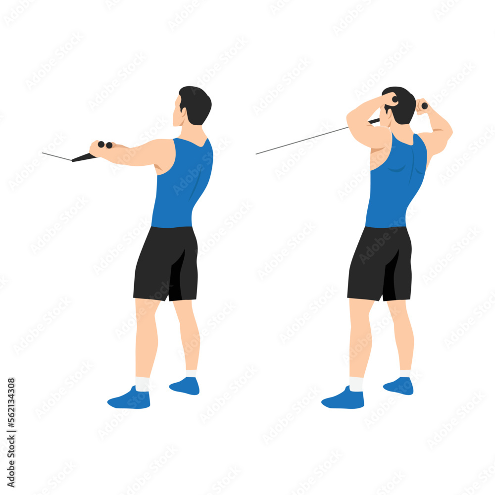 Vecteur Stock Man doing standing rope face pull. Cable face pull exercise  back view. Flat vector illustration. Shoulder exerciseFlat vector  illustration isolated on white background | Adobe Stock