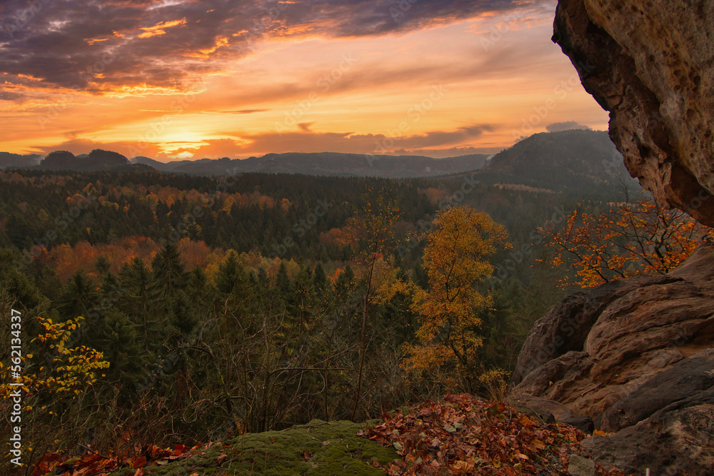 view over the autumn forest in saxon switzerland