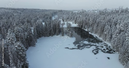 The cinematic forest lake is covered with thin ice, the paws of tall firs are hidden by snow. Winter Christmas muted tones drone footage