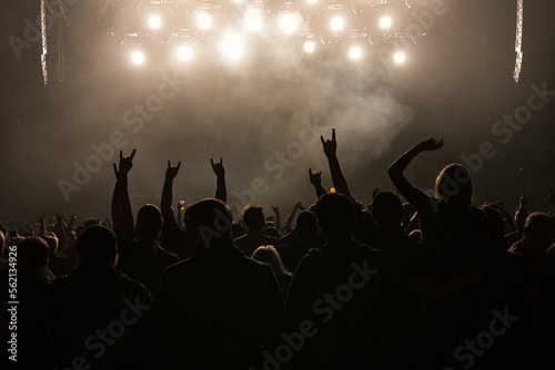 Heavy metal crowd