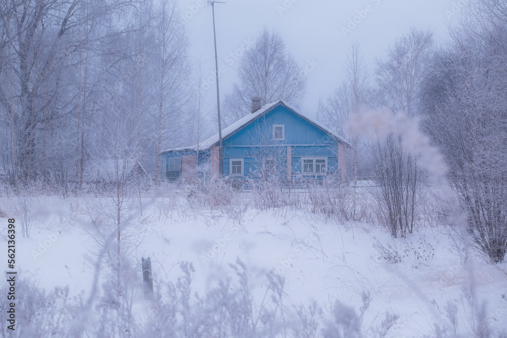 Winter in the Russian countryside. Vologda region. Russia