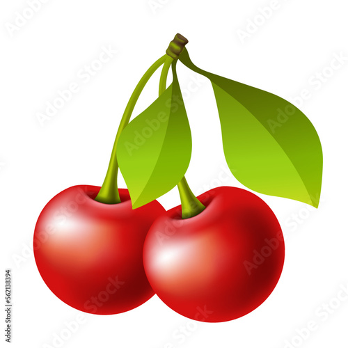 Cherry. Two berries and leaves. Vector clipart.