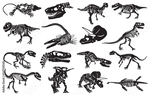 Graphical illustration, set of dinosaur skeletons isolated on white background,vector illustration