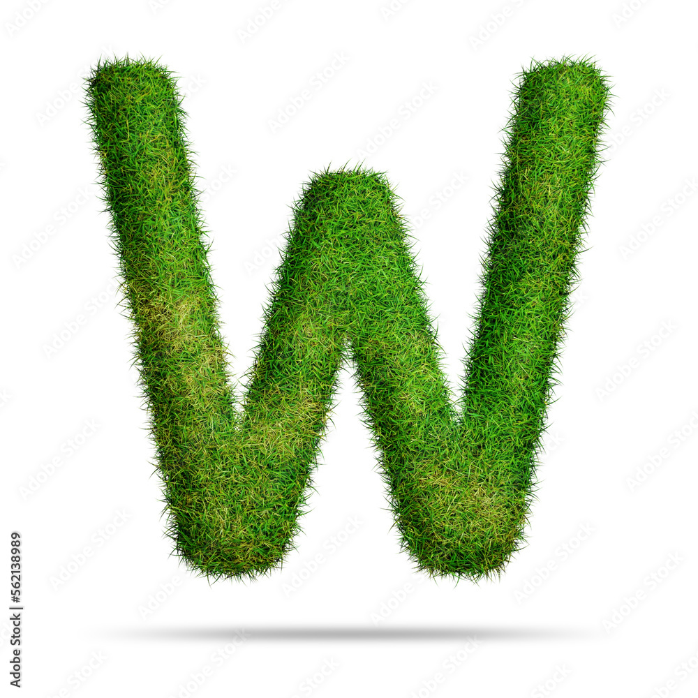Green grass alphabet letter w for text or education concept
Green grass alphabet letter w for text or education concept