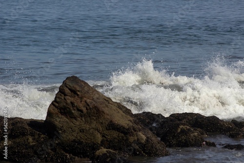 waves crashing on rocks