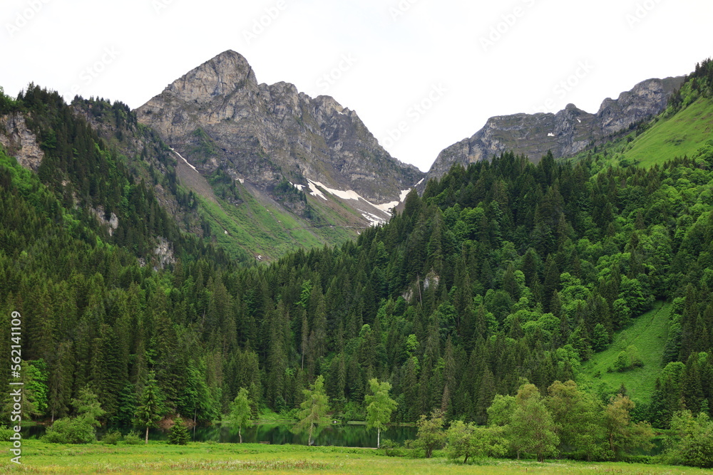 View on a valley just next to the Plagnes lake which is located in Haute-Savoie in the municipality of Abondance