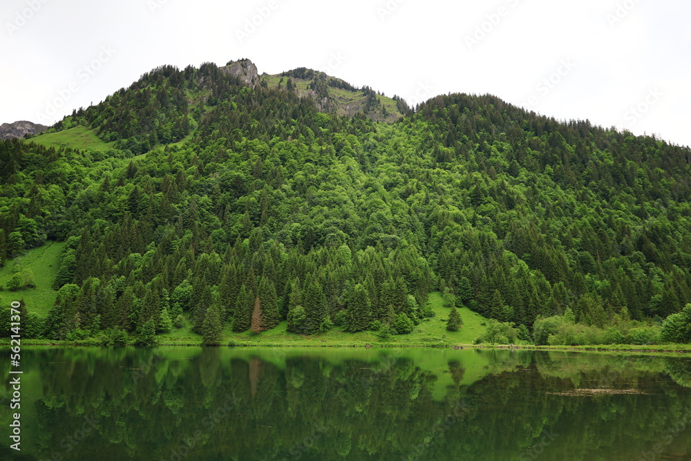 Viewpoint on the Plagnes lake which is located in Haute-Savoie in the municipality of Abondance Viewpoint on the Plagnes lake which is located in Haute-Savoie in the municipality of Abondance