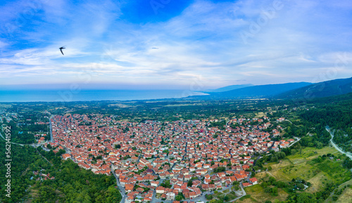 Fototapeta Naklejka Na Ścianę i Meble -  Panorama of Greek town of Litochoro with small houses and green vegetation against the backdrop of the Aegean Sea and a cloudy sky